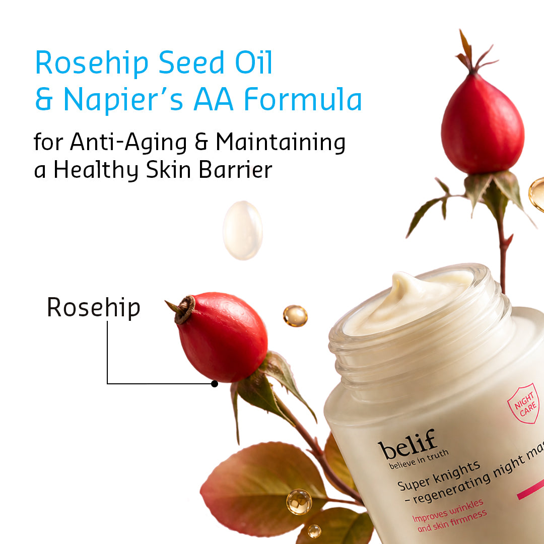 Belif Regenerating Sleeping Mask 75 ml