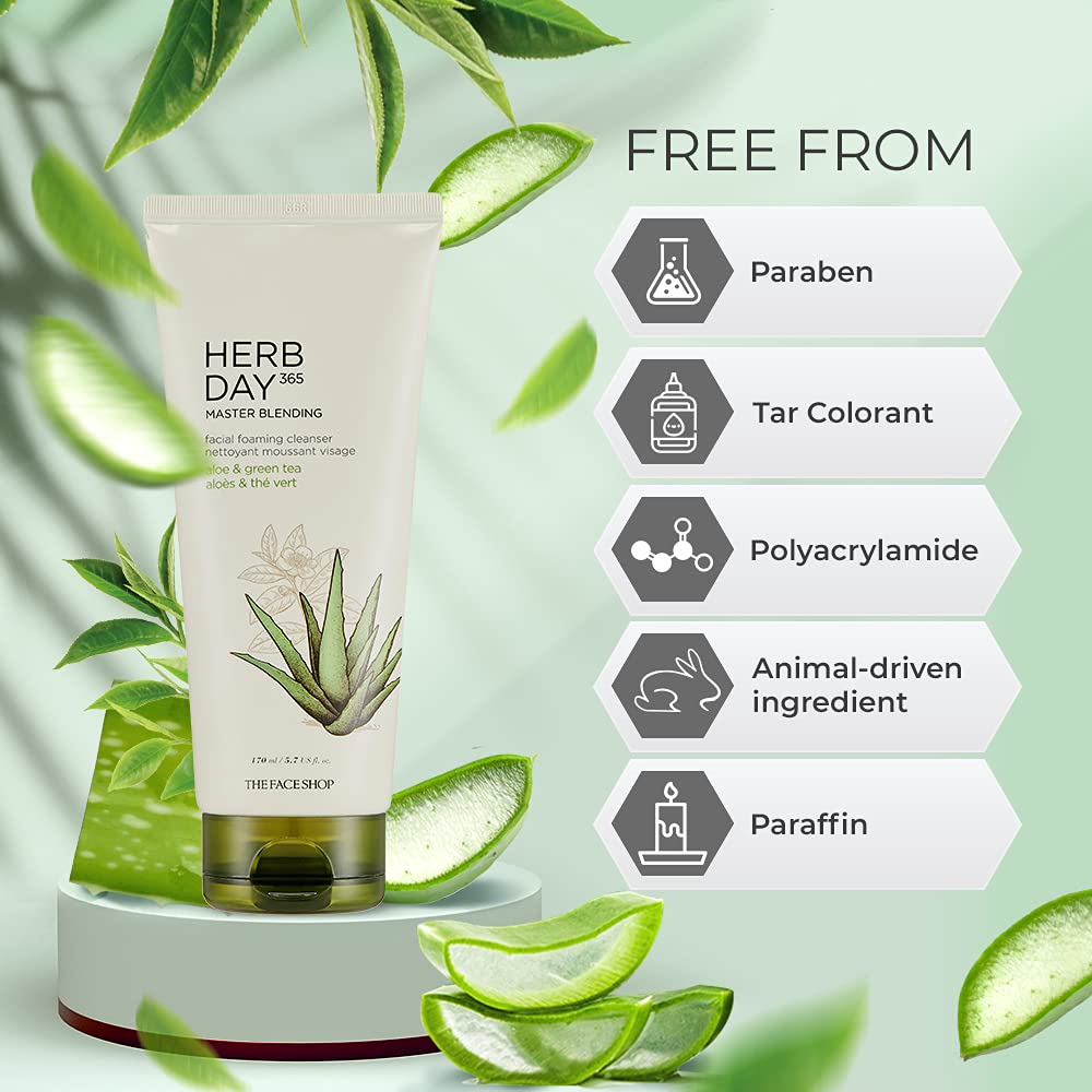 Herb Day 365 Foaming Cleanser - Aloe & Green Tea 170ml