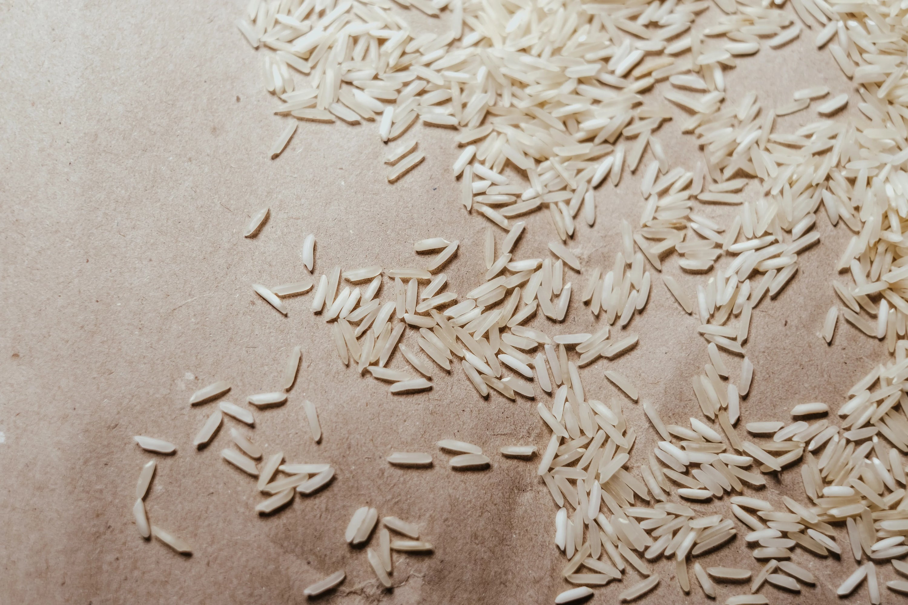 Could Rice Serums Be the Secret to an Even Skin Tone?