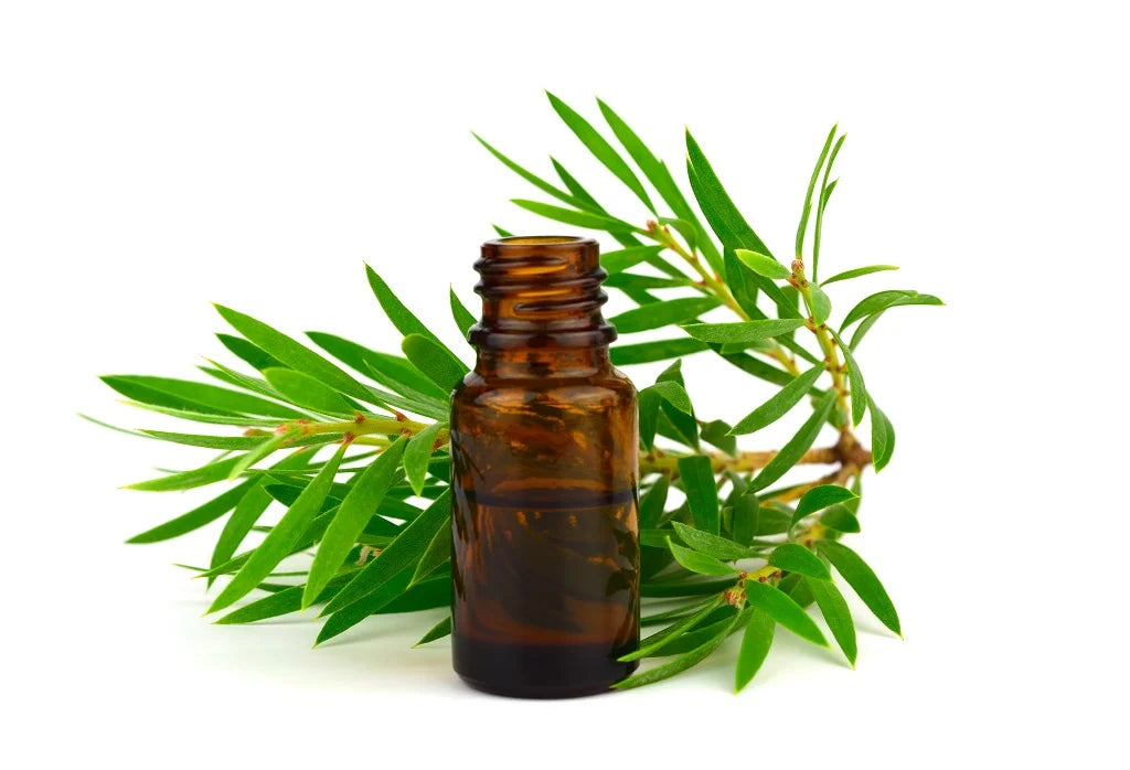 Best Tea Tree, Collagen & Vitamin C Products for Acne-Prone Skin: Expert Guide