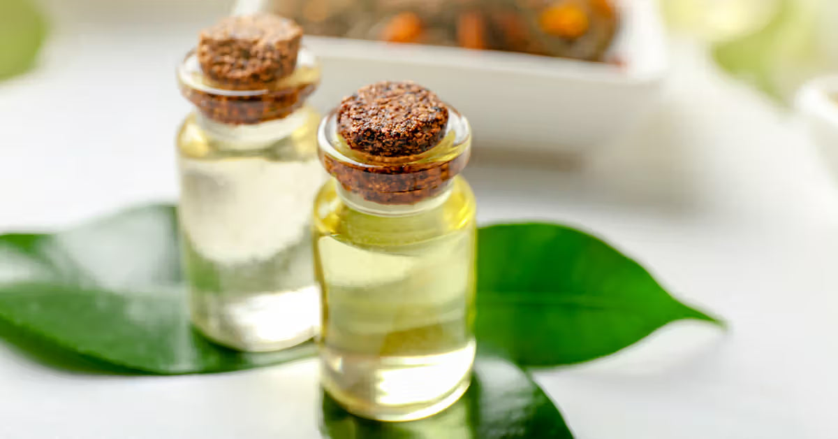 Best Tea Tree Skincare Routine for Acne-Prone Skin: 5 Korean Beauty Steps That Actually Work
