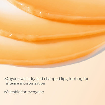 The Face Shop Vitamin Lip Sleeping Mask(14g)