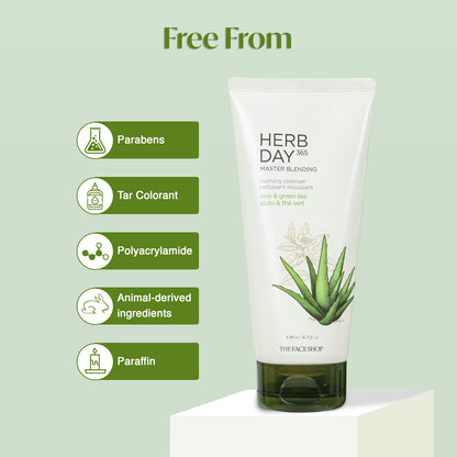 Herb Day 365 Foaming Cleanser - Aloe &amp; Green Tea 170ml